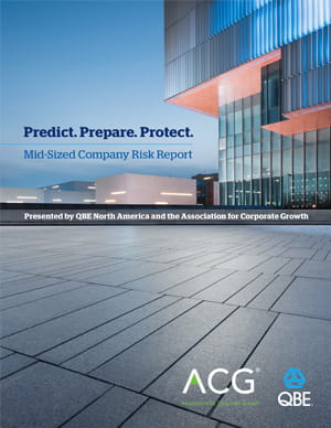 Mid Sized Company Risk Report 2020